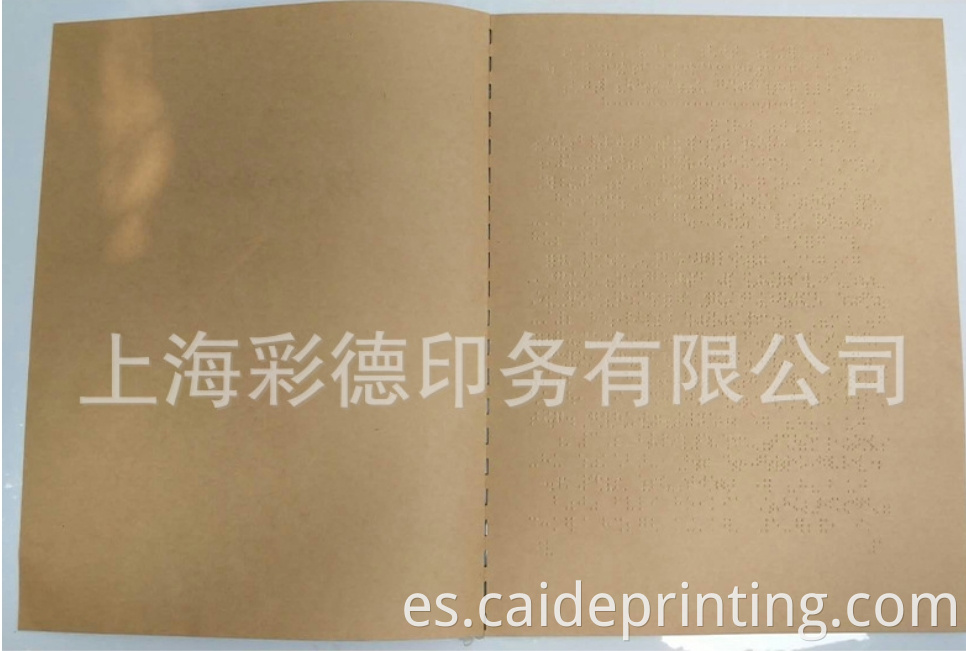 braille embosser printer